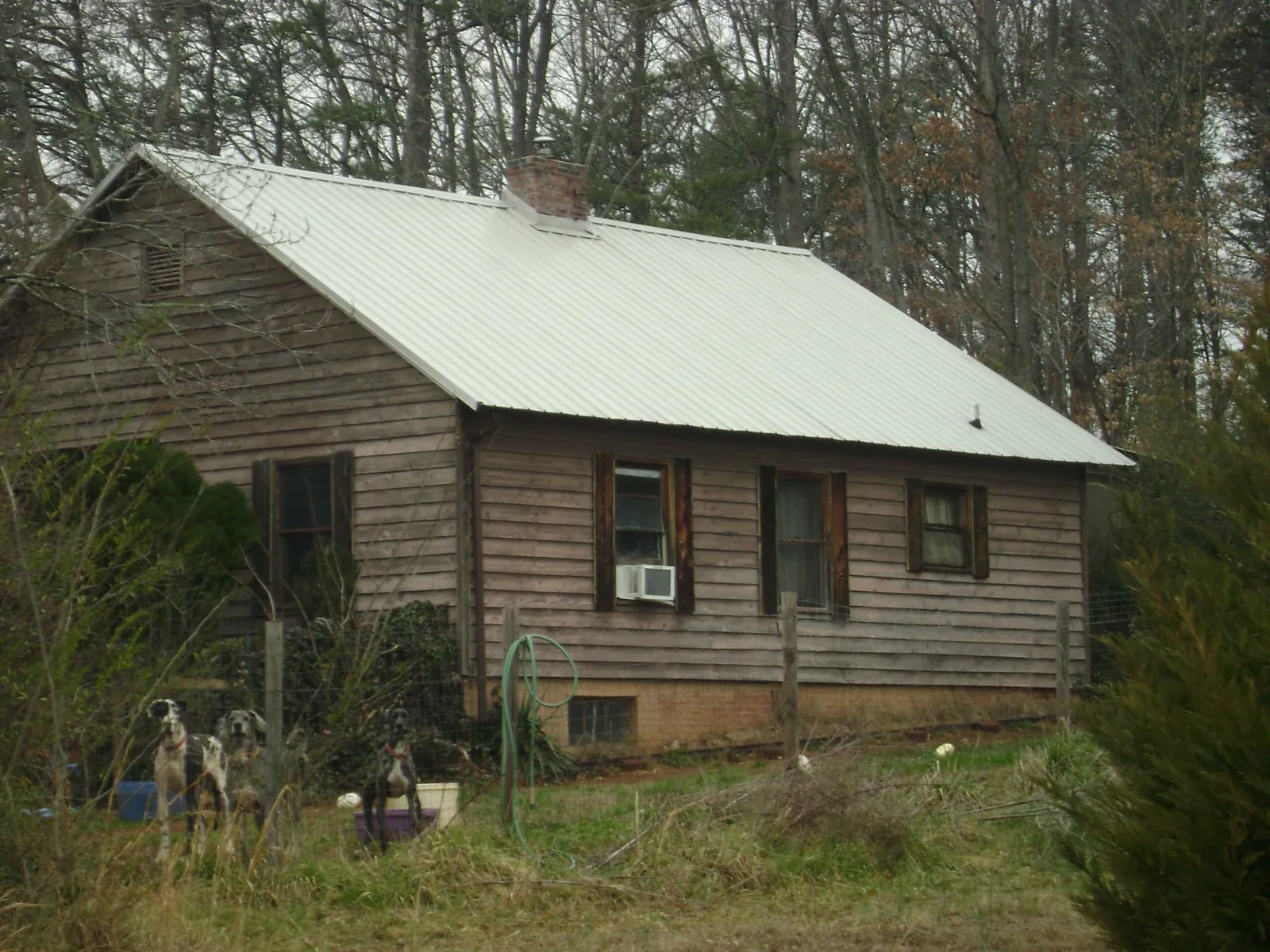 White metal roof on an old wood sided farmhouse, from a Asphalt Shingle Roof Repair job in Almo